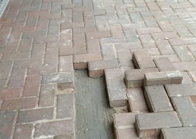 17 6
