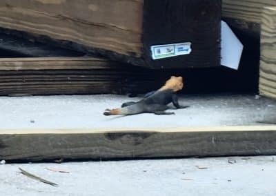 Lumber place seller scaled