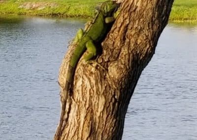 he said was going to help but scaled