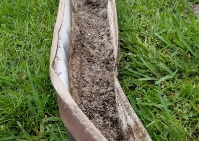 70 scaled