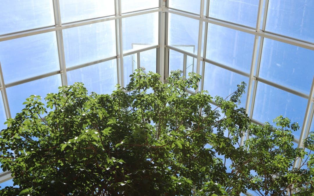 Screen Enclosures: A Must-Have for South Florida Homes