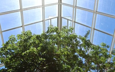 Screen Enclosures: A Must-Have for South Florida Homes