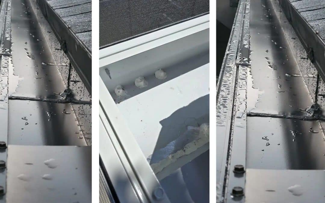 Super Gutter Leak Repairs: Protecting Your Screen Enclosure and Home from Water Damage